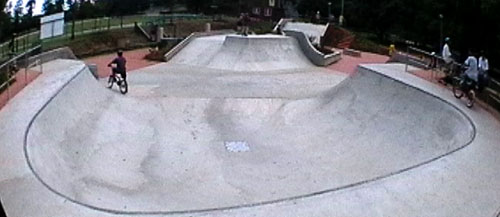 Concrete skatepark bowl with ramps and surrounding greenery at a Sydney park